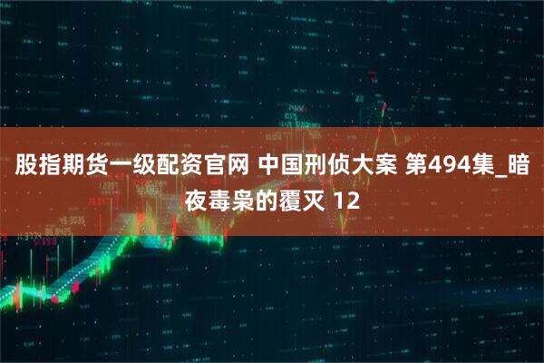 股指期货一级配资官网 中国刑侦大案 第494集_暗夜毒枭的覆灭 12