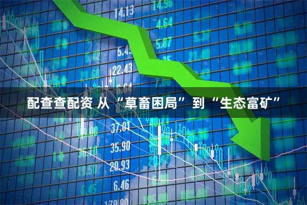 配查查配资 从 “草畜困局” 到 “生态富矿”